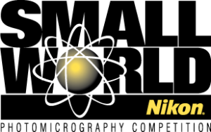 Nikon-Small-World-Competition-2018-benidorm